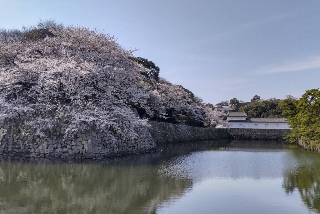 Villa Hikone Castle Kültér fotó